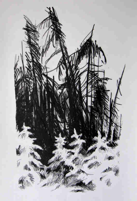 Litho_Winterwald_2015